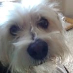 Suzanne Herrera - @suzanneherrera8327 - Instagram