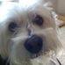 Suzanne Herrera - Facebook