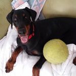 Suzanne Herrera - @suzanne.herrera.77 - Instagram