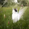 Suzanne Herrera - @suzanne.herrera4 - TikTok