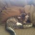 Suzanne Herrera - Facebook
