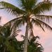 Suzanne Hester - Facebook