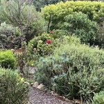 Suzanne Hicks - @suzanne.hicks2 - Instagram