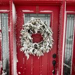 Suzanne Hicks - @mama_hicks - Instagram