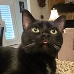 Suzanne Dyer Hinman - @suzannehinman - Instagram