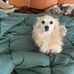 Susanne Hoch - Facebook