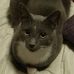 Suzanne Hoch - Facebook