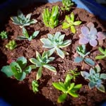 Suzanne Holton - @suzanneemm - Instagram