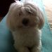 Suzanne Holton - Facebook