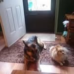 Suzanne Holton Hunt - @suzanneholtonhunt - Instagram