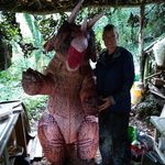 Suzanne Hooper - @wildaboutwoods22 - Instagram
