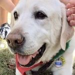 Suzanne Hooper - @suzhoop02 - Instagram