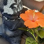 Suzanne Hoover - @it_is_about_the_food - Instagram