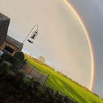 Suzanne horner - @suzannehorner66 - Instagram