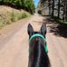 Suzanne Horne - Facebook