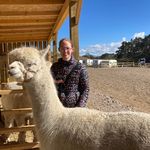 Suzanne Horne - @suzannehorne - Instagram