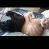 user8606802899555 - @suzanne_hulse - TikTok