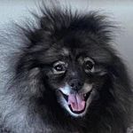 Suzanne Saurwein Humphrey - @suzanne_humphrey_ - Instagram