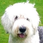 Suzanne Hutton - @suzannehutton7 - Instagram
