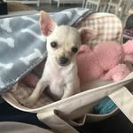 Suzanne Hutton - @hutton6772 - Instagram