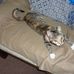 Suzanne Irons - Facebook