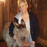 Suzanne Jernigan - @suzannejernigan - Instagram