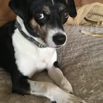 Suzanne Joyce - @exesq1 - Instagram