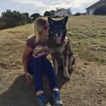 Suzanne Joyce - @suzyjoyce - Instagram