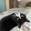 Suzanne Kane213 - @suzyq91859 - TikTok