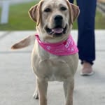 Suzanne Taylor Kane - @suzannetkane - Instagram