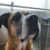 Suzanne - @suzannekosters - TikTok
