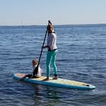 Suzanne  Koster - @suzsci7 - Instagram
