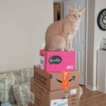 Suzanne Kramer - @lovesabook2 - Instagram