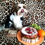 Suzanne Kramer - @just_suusje - Instagram