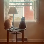 Suzanne Krause - @suekrause1 - Instagram