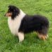 Susanne Kress - Facebook