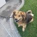 Suzanne Kress - Facebook