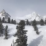 Suzanne Kress - @kresssuzanne - Instagram