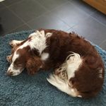 Suzanne Lindberg - @tusse46.2 - Instagram