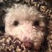 Suzanne Lindberg - Facebook