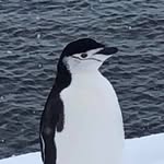 Suzanne Lindberg - @richlindy1 - Instagram