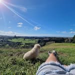 Suzanne Lines - @suz_lines - Instagram