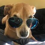 Suzanne Lord - @sgalienrdh - Instagram