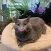 suzanne Lowrie - @suzanne.lowrie - TikTok