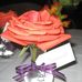 Suzanne Ludlam - Facebook