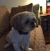 Suzanne Ludlam - Facebook