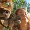 Suzanne - @suzanneludwig08 - TikTok