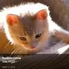 WitchwomanCatsmyfamiliar - @suzanneludwig8 - TikTok