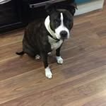 Suzanne Lunn - @suzanne274972 - Instagram
