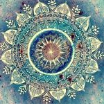 Suzanne Colston-lynch - @suzannecolstonlynch - Instagram